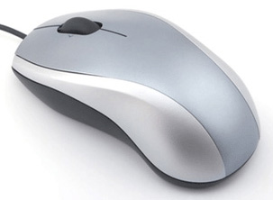 computer mouse