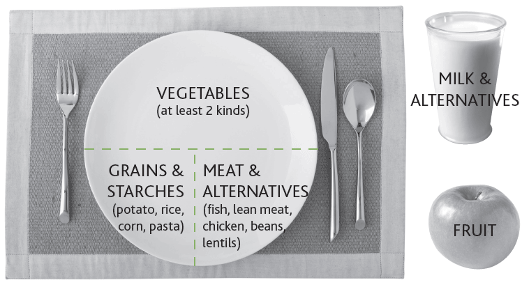 illustration of plate model