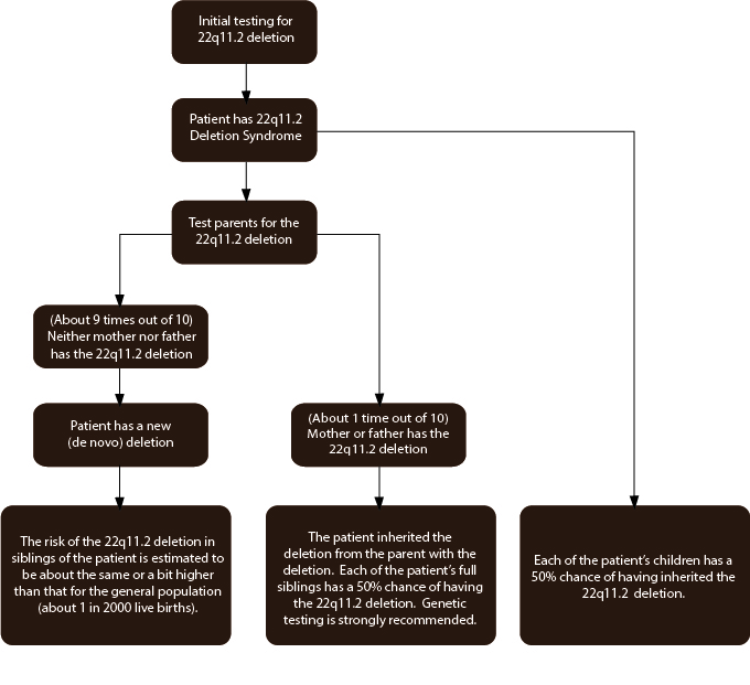 Recommended plan for genetic testing for family members of individuals with 22q11.2 deletions